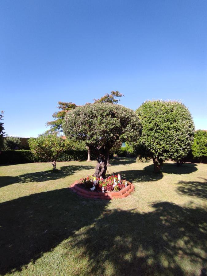 Pension Casa Carmela Playa de la Lanzada Bagian luar foto